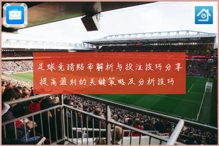 足球竞猜赔率解析与投注技巧分享 提高盈利的关键策略及分析技巧