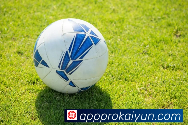 开云平台展示图